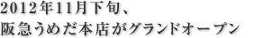 2012年11月下旬、阪急うめだ本店がグランドオープン